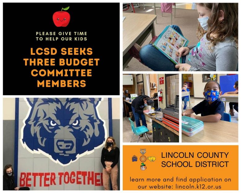 School District Seeks Budget Committee Members